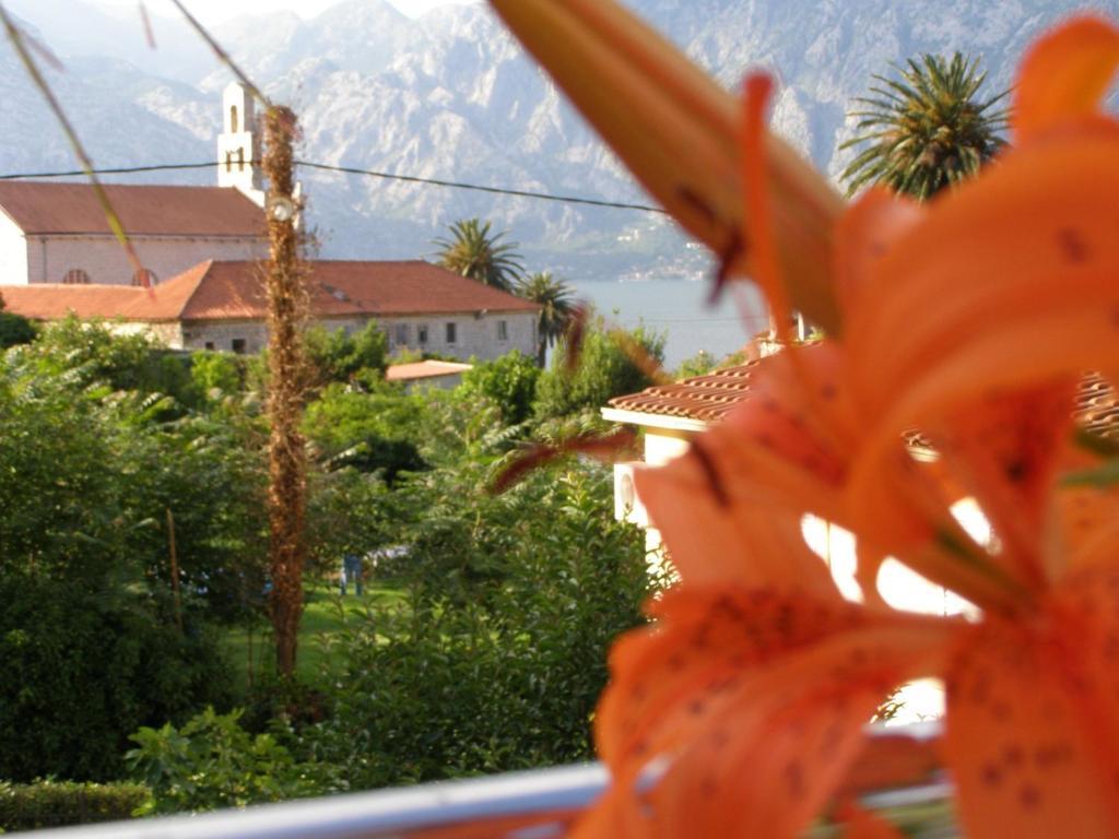 Djurovic Apartments Montenegro Kotor Habitación foto